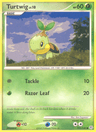 Turtwig