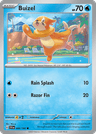 Buizel